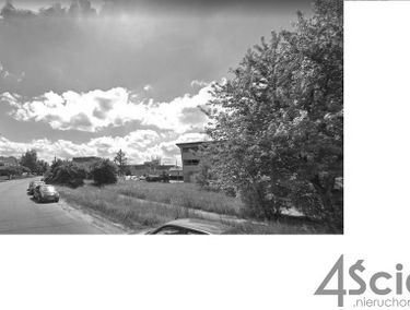 Zdjęcie 12866084