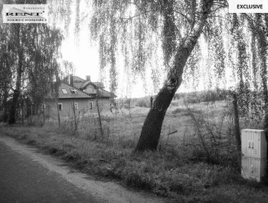 Zdjęcie 12872267