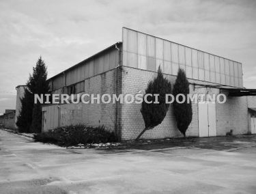Zdjęcie 12875560