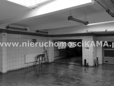 Zdjęcie 12880040