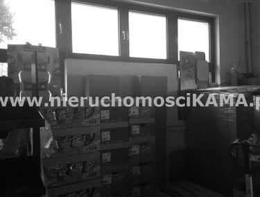 Zdjęcie 12887256