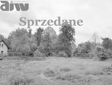 Zdjęcie 12888202