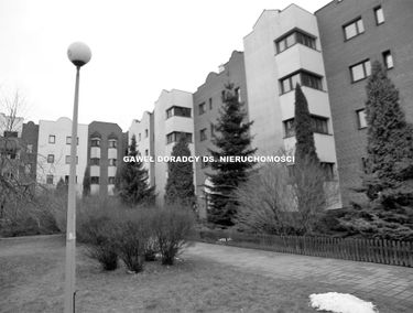 Zdjęcie 12899427