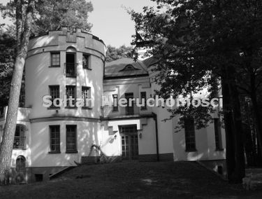 Zdjęcie 12931802