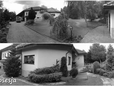 Zdjęcie 12949455