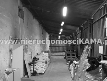 Zdjęcie 12960612