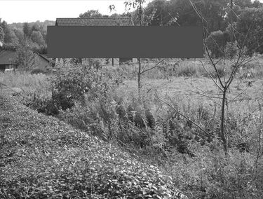 Zdjęcie 12965983