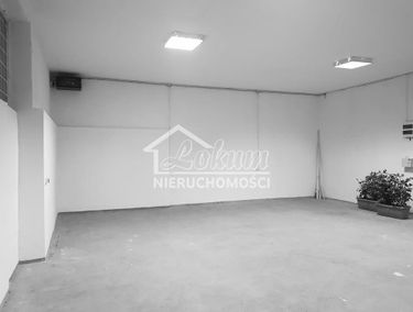 Zdjęcie 12981232