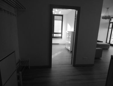 Zdjęcie 12981701