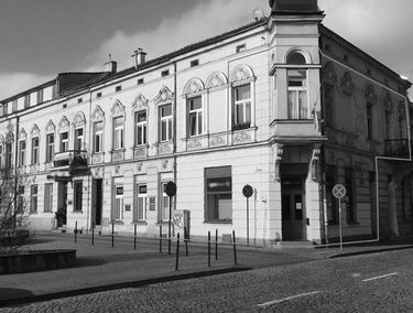 Zdjęcie 12996855