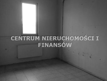 Zdjęcie 13030609