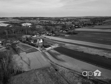 Zdjęcie 13035248