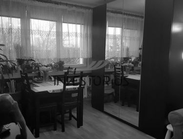 Zdjęcie 13042658