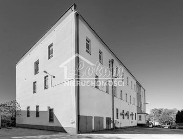Zdjęcie 13044802