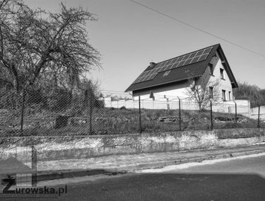 Zdjęcie 13048766