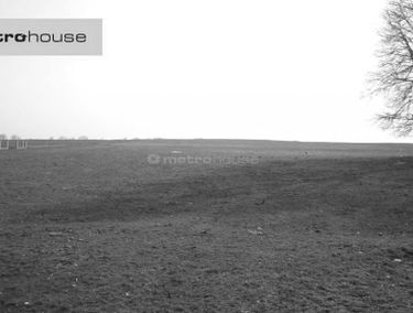 Zdjęcie 13059494