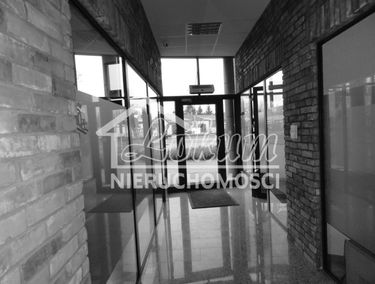 Zdjęcie 13069836