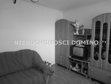 Zdjęcie 13075856