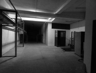 Zdjęcie 13091264