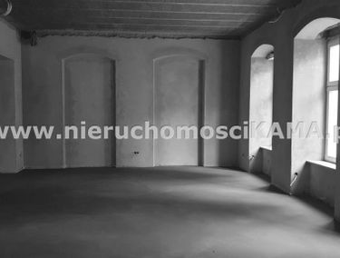 Zdjęcie 13128270