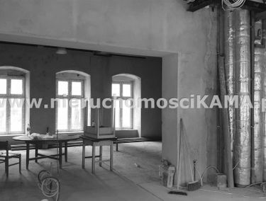 Zdjęcie 13128341
