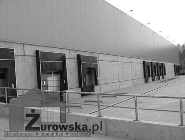 Zdjęcie 13131290