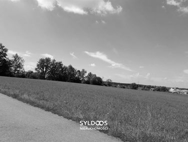 Zdjęcie 13140068