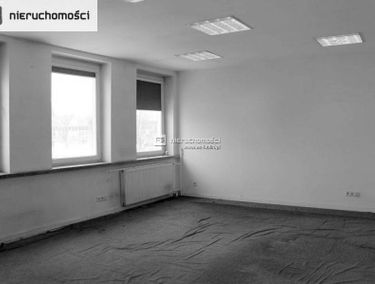 Zdjęcie 13143617
