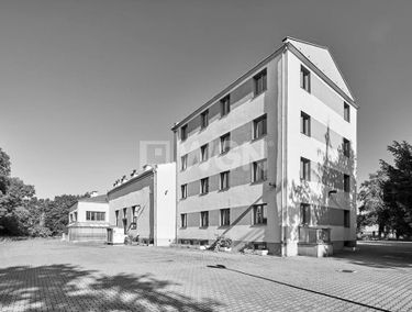 Zdjęcie 13169059