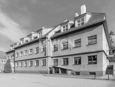 Zdjęcie 13169288