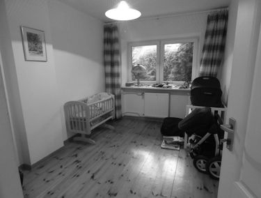 Zdjęcie 13193854