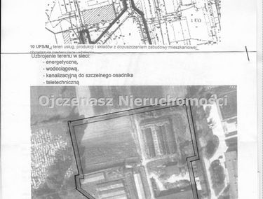 Zdjęcie 13227182