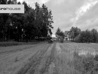 Zdjęcie 13230090