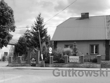 Zdjęcie 13240686