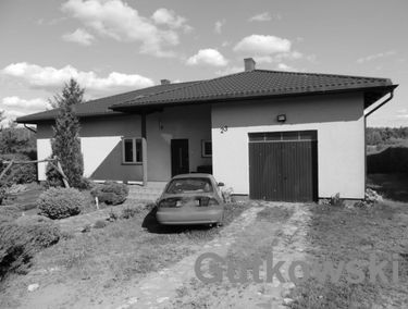 Zdjęcie 13270130