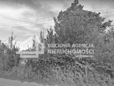 Zdjęcie 13279289