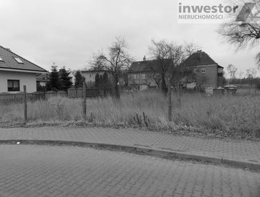 Zdjęcie 13304765
