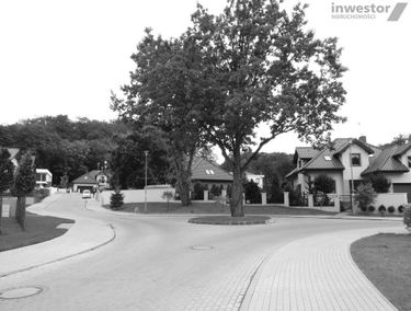 Zdjęcie 13304931