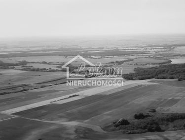 Zdjęcie 13305182