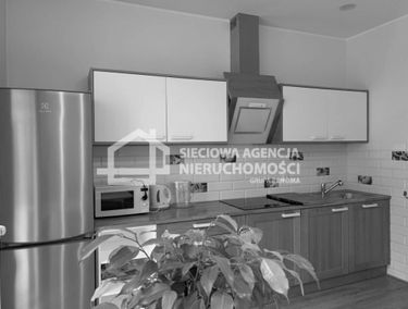 Zdjęcie 13316181