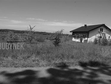 Zdjęcie 13318534