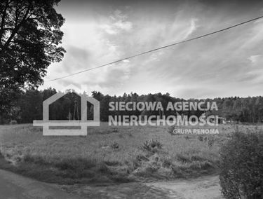 Zdjęcie 13319052