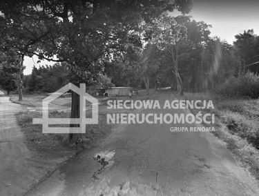 Zdjęcie 13319821