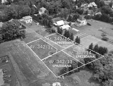 Zdjęcie 13323823