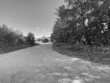 Zdjęcie 13345071
