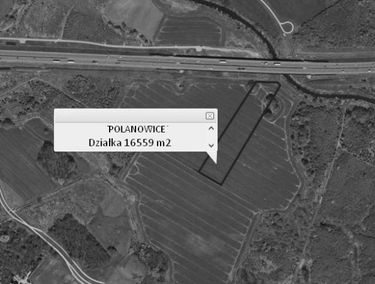 Zdjęcie 13353787