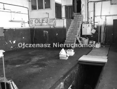Zdjęcie 13362293