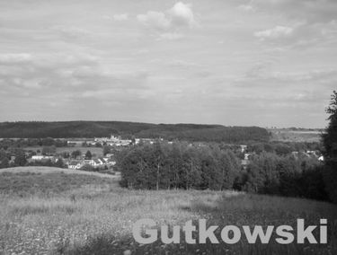 Zdjęcie 13365216