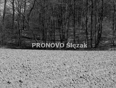 Zdjęcie 13367490