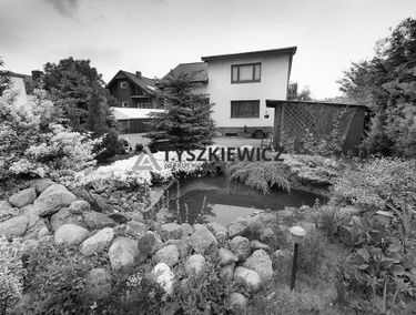 Zdjęcie 13369711